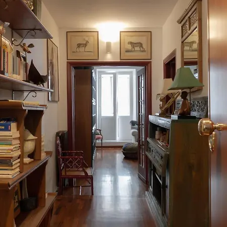 Navona Square * Rome